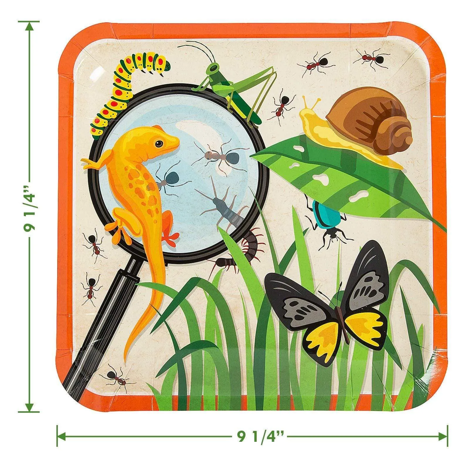 Bug and Insect Backyard Adventure Paper Dinner Plates and Lunch Napkins (Serves 16)