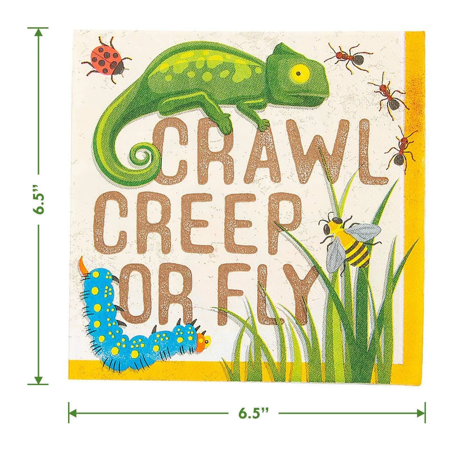 Bug and Insect Backyard Adventure Paper Dinner Plates and Lunch Napkins (Serves 16)
