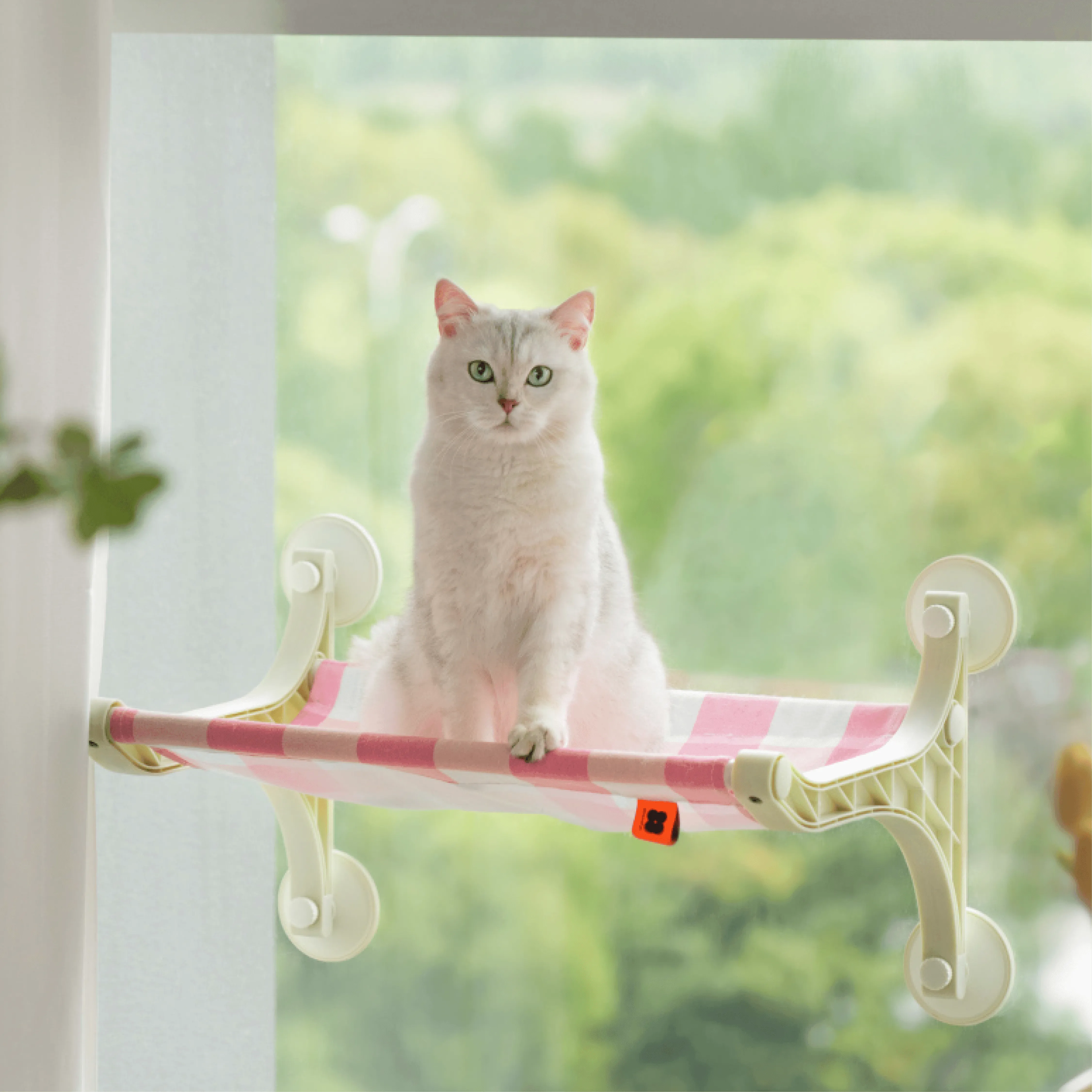Mewoo - Cat Sunbather