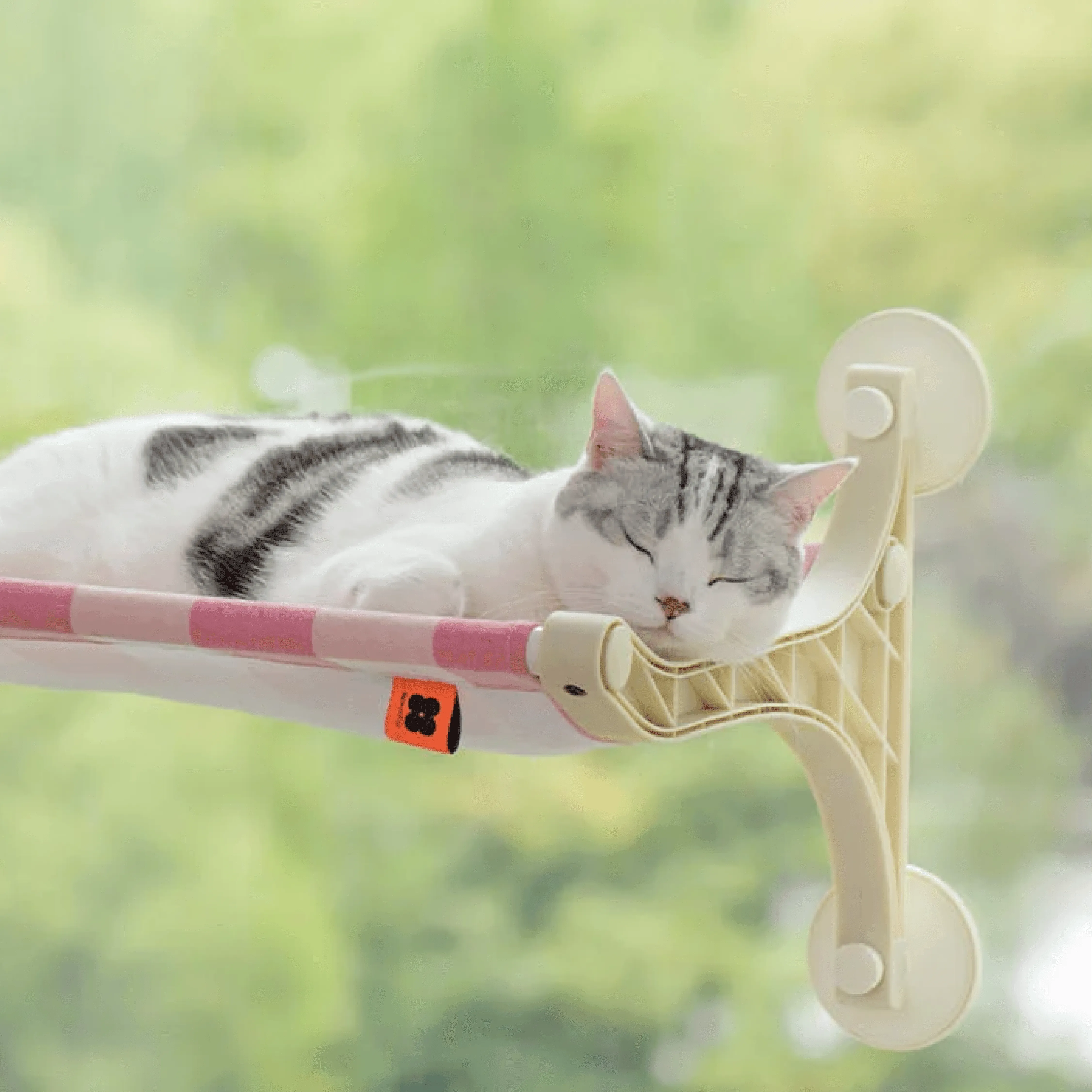 Mewoo - Cat Sunbather