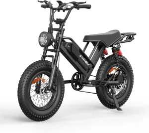 Spacewalk Electric Bike,16" Fat Tire Ebike,More Suitable for Riders Under 5'2"& Teens,20" More Suitable 5'5" & above,750W Motor,21.7/24.9MPH,50mi PAS,48V/15Ah Battery,4x Suspension for a Smoother Ride